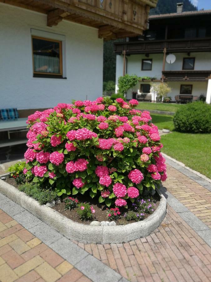 Haus Wildauer Otel Mayrhofen Dış mekan fotoğraf